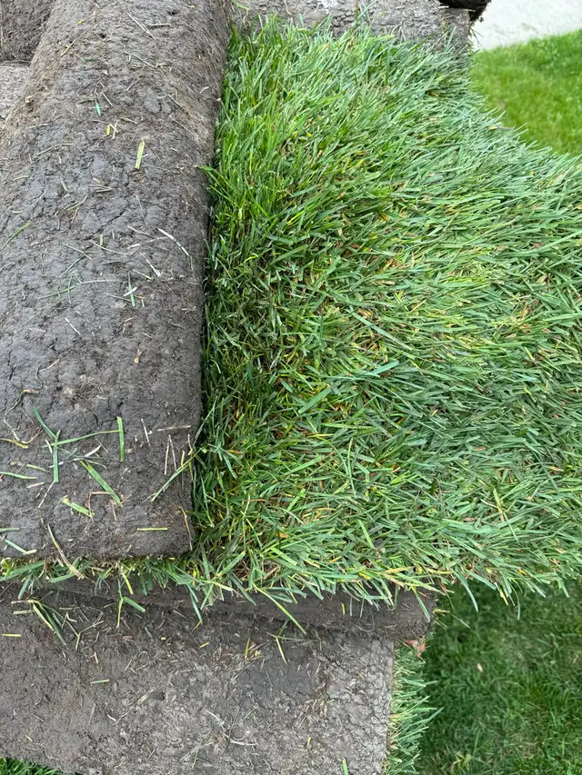 SOD INSTALL - NEW GRASS!63008305251073124