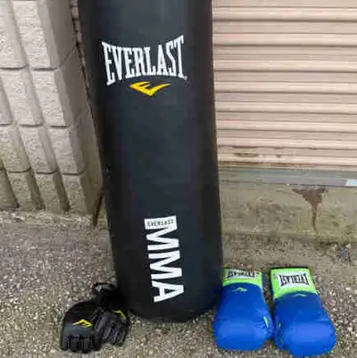 Everlast Heavy Boxing Bag with Gloves, View more