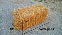 Small Square Straw Bales