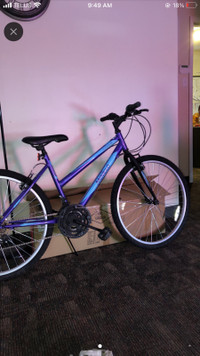 Purple and blue mountain bike 