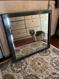 Framed mirror 