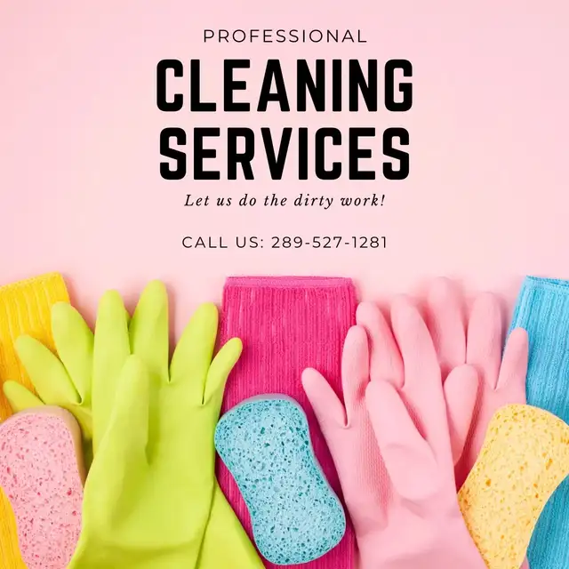Professional Cleaning Ladies63234805030273121
