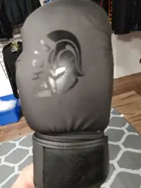 Kids Boxing gloves 