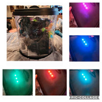 3.5 gallon Top Fin changing LED coloured lights tank and extras