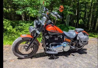 2018 Softail Slim. 107 cubic inch Milwaukee 8 with 11,000 km's. Custom paint, bags, 12"apes, driver...
