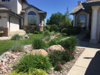 Looking for Landscaping Services?