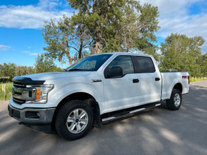 2019 Ford F 150