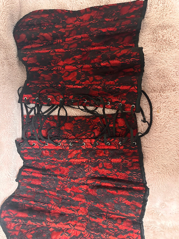Lavish corset size small in Women's - Tops & Outerwear in Whitehorse
