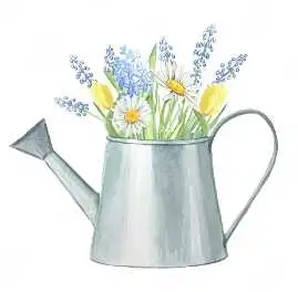 Looking for Garden plot, View more