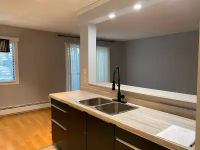 Fully renovated 2 bedroom with Balcony
