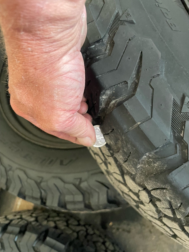 RAM 20” Winter Tires on Rims in Tires & Rims in Kitchener / Waterloo - Image 4