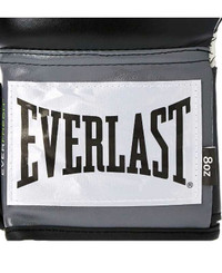 Everlast Kickboxing Gloves -Brand new 