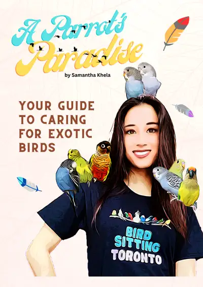 Need Expert Bird Care in Mississauga? Welcome to Bird Sitting Mississauga - Your feathered friends'...