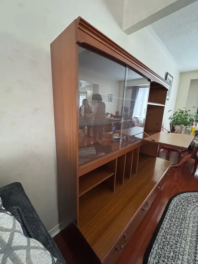 Vintage Style Wall Unit — Mid Century Modern in Bookcases & Shelving Units in Oakville / Halton Region - Image 3