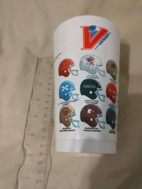 1991 Vanier Cup (Canadian university football final) SkyDome cup