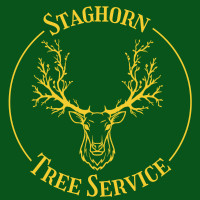 Tree Removal & Pruning Services