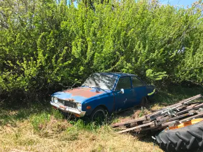 Hello! Searching for a rotary Mazda car or truck project. Will consider any condition but the more c...