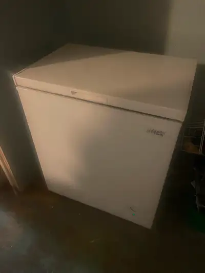 Small chest freezer. Energy efficient, works great.