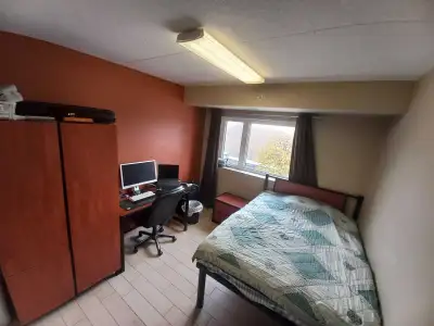 Address: 86 University Ave W - May 2026 - August 2026 (4 months) - Private bathroom with sink, toile...