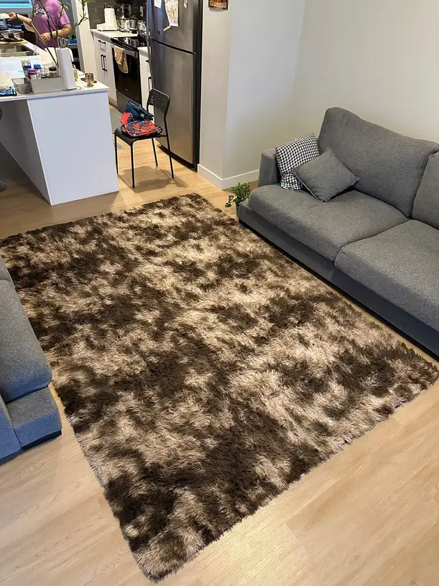 Area Rug597784687637975041