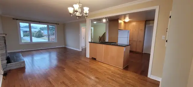 Beautiful 3 bed 1 bath house with yard