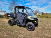 2020 Can-Am Defender HD8 DPS 