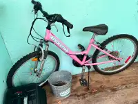 Bike youth or small women’s bike