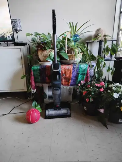 Vacuum, mop, all surfaces and carpets. Cleans carpets too. Asking $200.00. Only one year old. Like n...