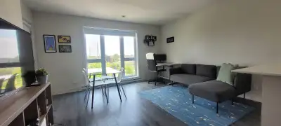 3 1/2 Apartment in Lasalle