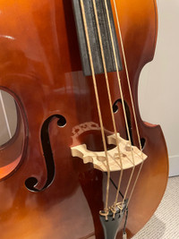3/4 Upright Double Bass