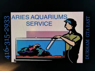 AQUARIUM TANK CLEANING SERVICE FISH TANK, View more
