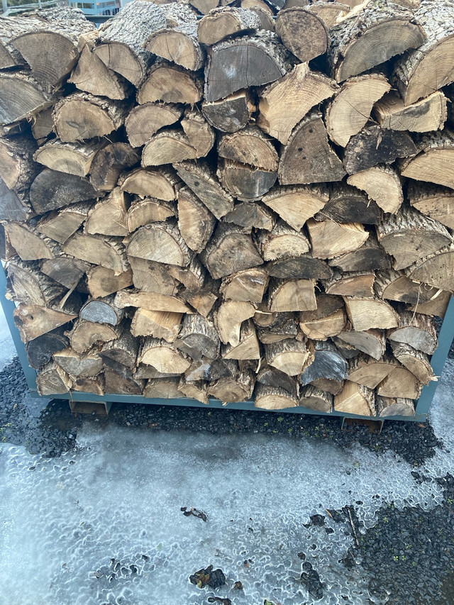 Seasoned ash firewood  in Other in Cornwall - Image 2