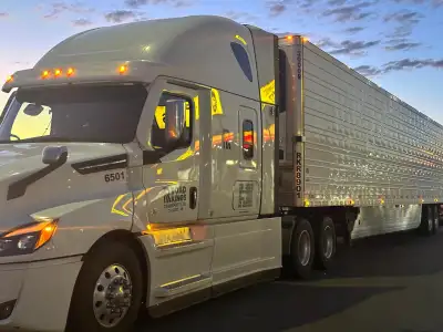 Long haul driver (Cross border only), View more