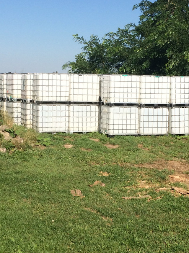 water Tanks rain barrels  ibc Tanks in Outdoor Tools & Storage in Grand Bend - Image 3