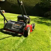 Grass Cutting for You