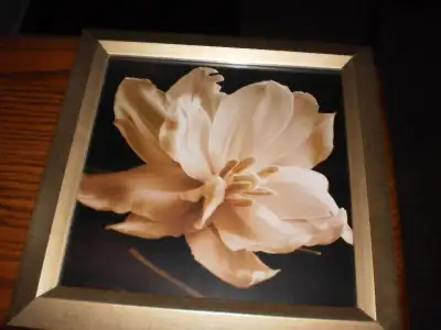 2 White Flower Framed Pictures, View more