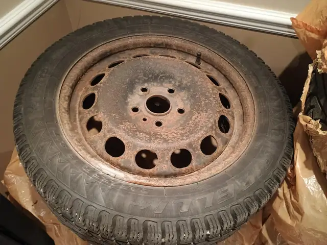 Pirelli Winter tires on rims in Tires & Rims in Ottawa - Image 2
