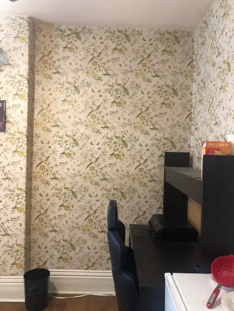 Room to rent in house in Room Rentals & Roommates in Peterborough - Image 3