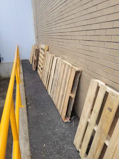 12 Free Pallets, View more