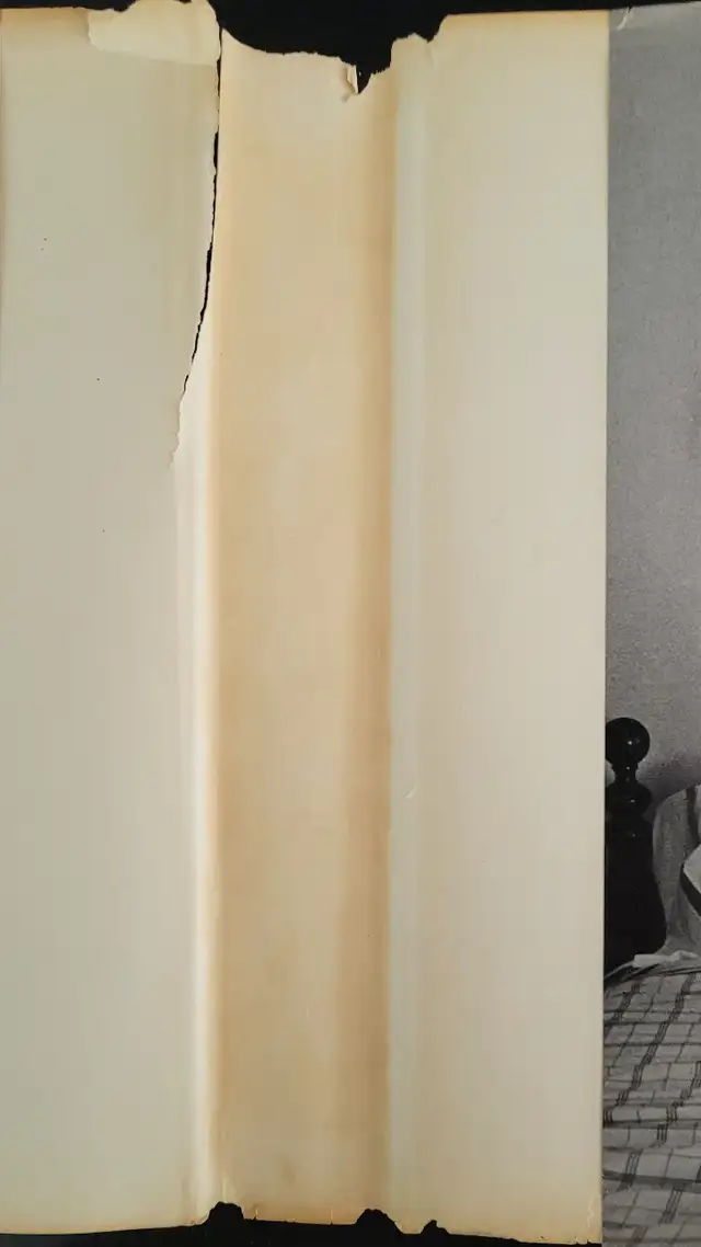 " Jailbird " - first edition - Kurt Vonnegut in Fiction in Barrie - Image 8