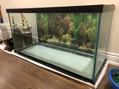 90 gallon aquarium in good condition, 2 Fluval 303 filters, gravel, light, and various other accesso...