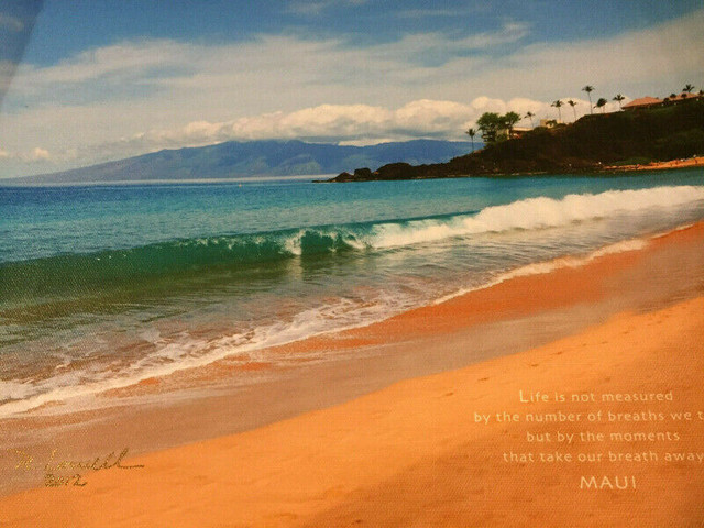 Rebecca Lowell Maui, Hawaii Canvas Print Signed Art - 11" X 14" in Arts & Collectibles in City of Toronto - Image 4