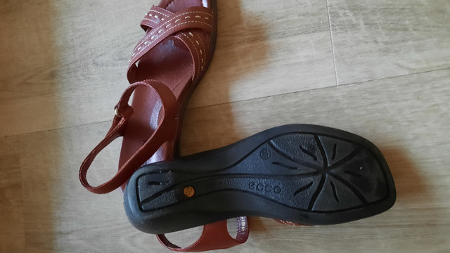 Ecco winnipeg cheap