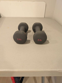 5lb weights 