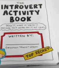 The introvert activity book