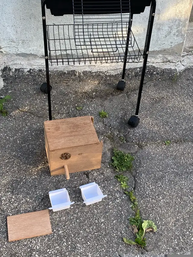 new full cage in Birds for Rehoming in City of Toronto - Image 5