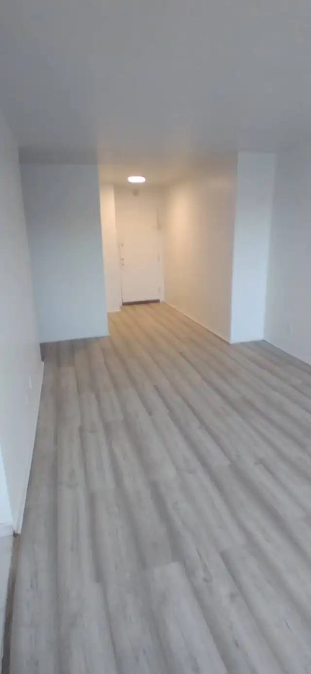 Un mois gratuite !! 4/1 entièrement rénové in Long Term Rentals in City of Montréal - Image 2