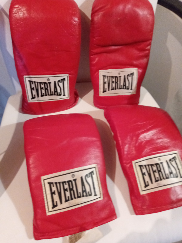 EVERLAST BOXING GLOVES and PUNCHING BAG in Exercise Equipment in City of Halifax - Image 4