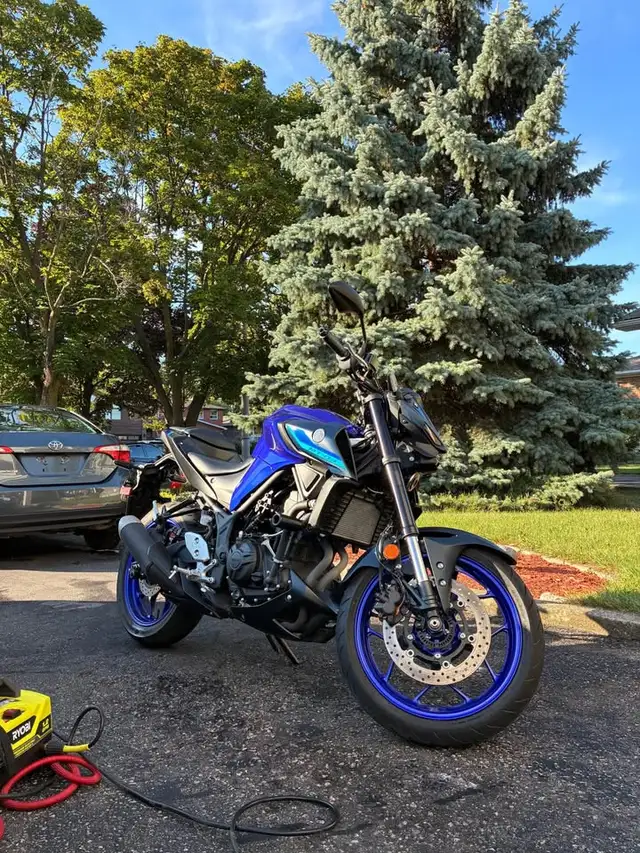 2024 Yamaha MT-03 in Sport Bikes in Mississauga / Peel Region - Image 2