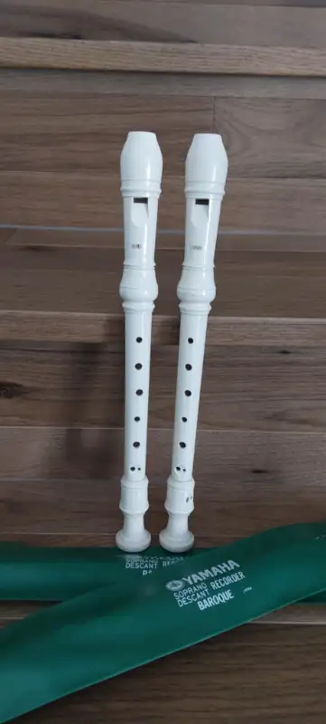 music  instruments in Woodwind in Regina - Image 2
